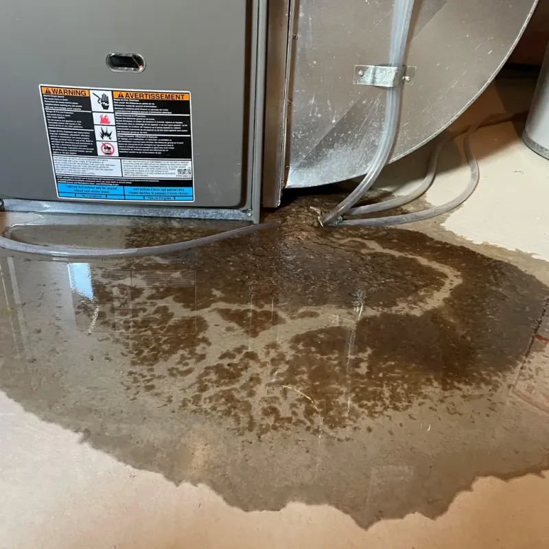 Appliance Leak Cleanup in Pioche, NV